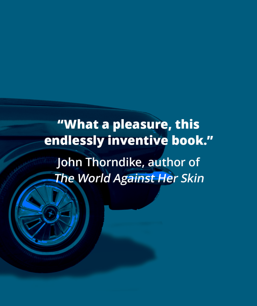 “What a pleasure, this endlessly inventive book.” John Thorndike, author of The World Against Her Skin